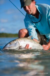 Bonefishing | Abaco Bahamas