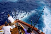 Costa Rica Sportfishing | World Slam Billfishing