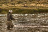 Sea Run Brown Trout | Kau Tapen Argentina