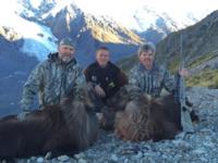 2017 Red Stag, Tahr, & Chamois | New Zealand | SOLD OUT!