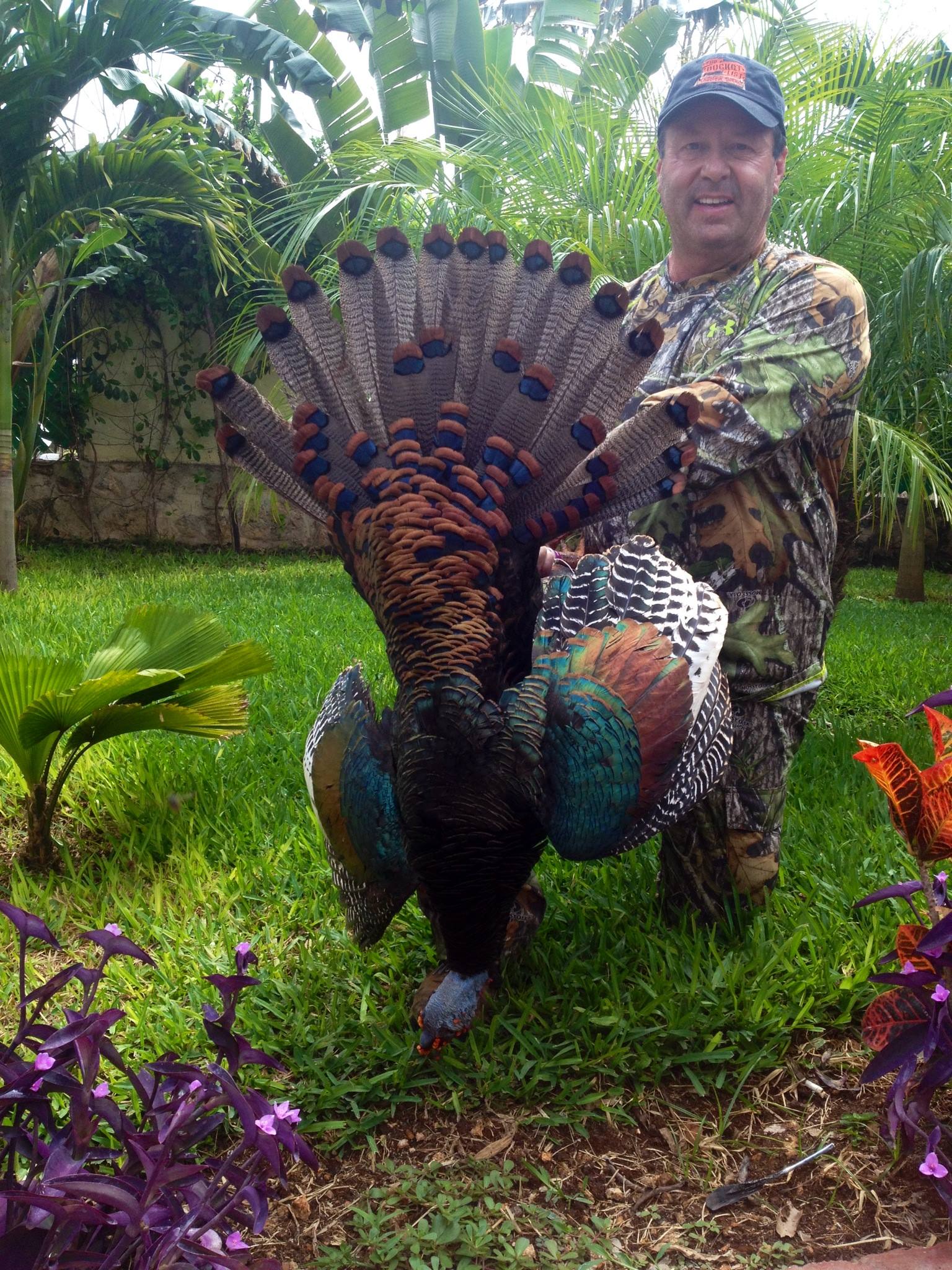 Outdoor Adventures Worldwide | 2017 Ocellated Turkey Hunt | Yucatan Mexico