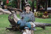 2017 Ocellated Turkey | Yucatan Mexico | SOLD OUT!