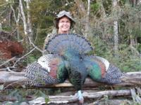 2017 Ocellated Turkey | Yucatan Mexico | SOLD OUT!