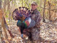 2017 Ocellated Turkey | Yucatan Mexico | SOLD OUT!