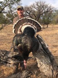 2019 Gould's Turkey | Mexico | 1 SPOT LEFT