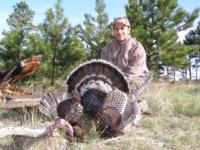 Merriam's Wild Turkey | Wyoming 2015 | SOLD OUT!