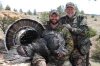 Merriam's Wild Turkey | Montana 2015 | SOLD OUT!