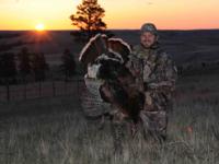 Merriam's Wild Turkey | Montana 2015 | SOLD OUT!