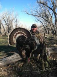 Merriam's Wild Turkey | Montana 2015 | SOLD OUT!