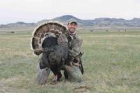 Merriam's Wild Turkey | Montana 2015 | SOLD OUT!