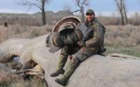 Merriam's Wild Turkey | Montana 2015 | SOLD OUT!