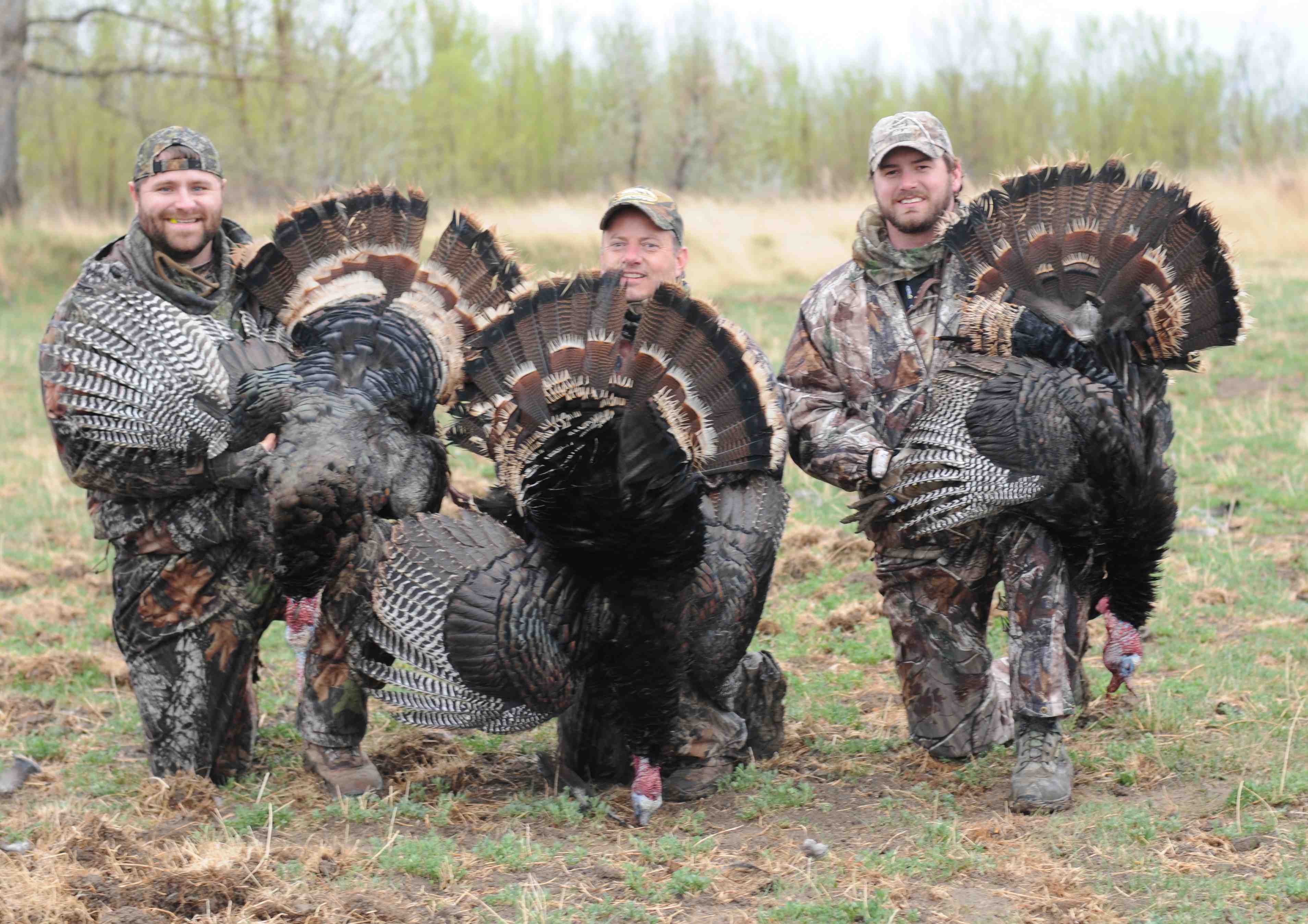 Montana Spring Turkey Hunt Remington Country