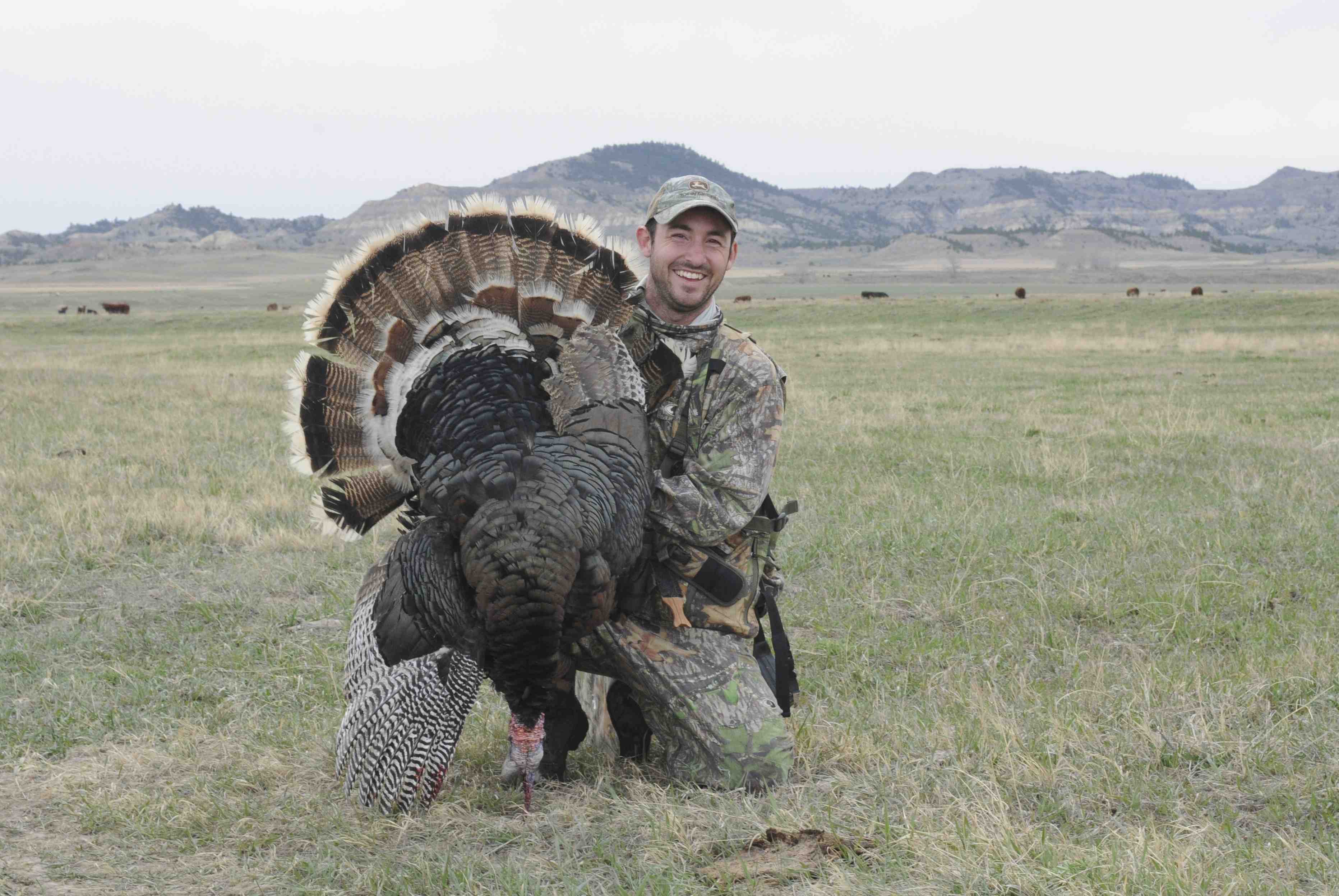 Montana Spring Turkey Hunt Remington Country