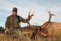 San Juan Elk | New Mexico 2016 | 6 SPOTS AVAILABLE!