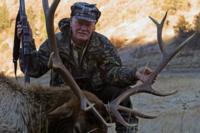 San Juan Elk | New Mexico 2016 | 6 SPOTS AVAILABLE!