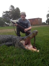 Florida Alligator | Option 2