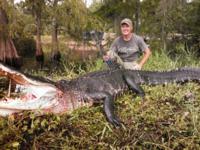 Florida Trophy Alligator | Option 1