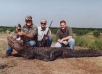 Florida Trophy Alligator | Option 1