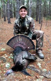 South Carolina Lowcountry Gators