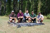 South Carolina Lowcountry Gators