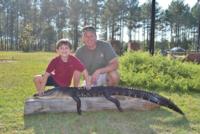 South Carolina Lowcountry Gators