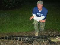 South Carolina Lowcountry Gators