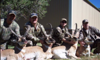 New Mexico | Trophy Antelope - Option 1