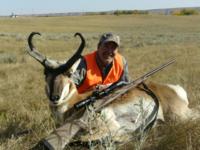 Wyoming Antelope