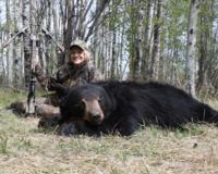 Alberta Black Bear