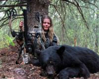 Alberta Black Bear