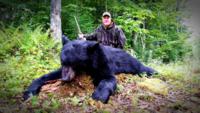Maine Black Bear | Option 1