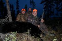 Northern Manitoba Black Bear