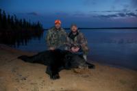 Northern Manitoba Black Bear