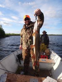 Northern Manitoba Black Bear