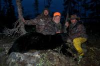 Northern Manitoba Black Bear