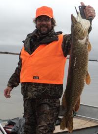 Northern Manitoba Black Bear