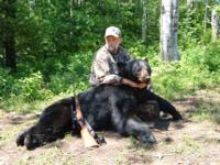 Quebec Black Bear