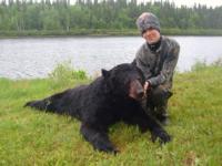 Quebec Black Bear