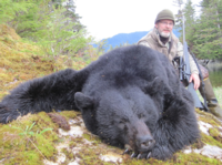 Southeastern Alaska Black Bear