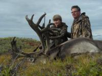 Alaskan Brooks Range Caribou