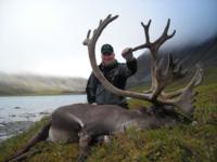 Alaskan Brooks Range Caribou