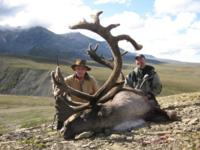 Alaskan Brooks Range Caribou