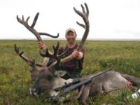 Alaskan Brooks Range Caribou