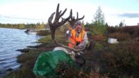 Manitoba Caribou