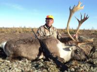 Manitoba Caribou