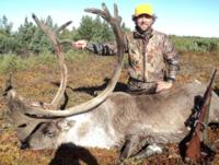 Manitoba Caribou