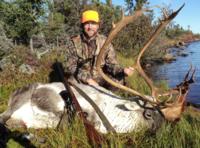 Manitoba Caribou