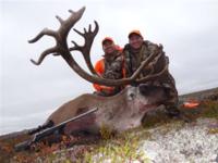 Manitoba Caribou