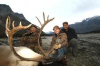 BC Mountain Caribou