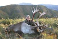 BC Mountain Caribou